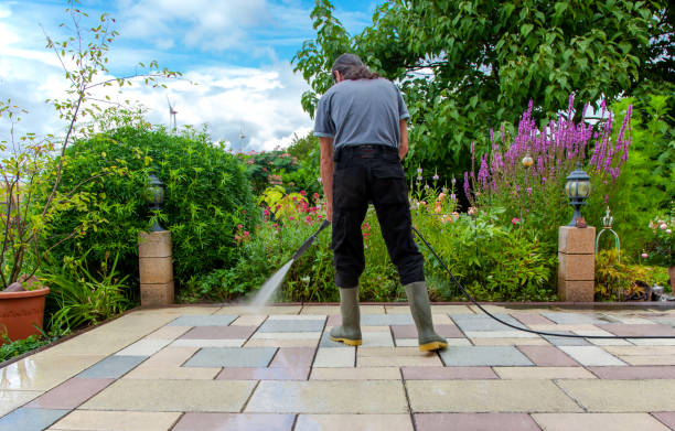 Reliable Prairie Grove, IL Pressure Washing Services Solutions