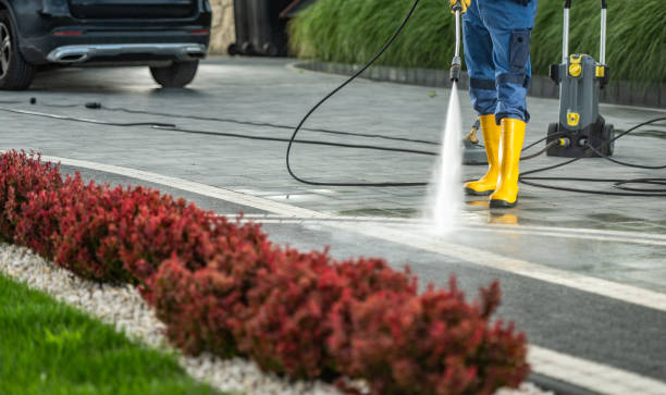 Best Sidewalk and Walkway Cleaning  in Prairie Grove, IL